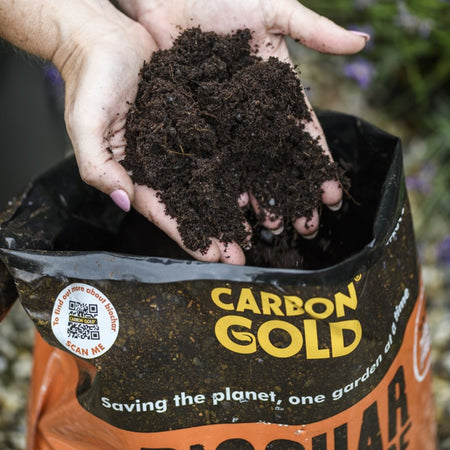 Carbon Gold Biochar All Purpose Compost 20L