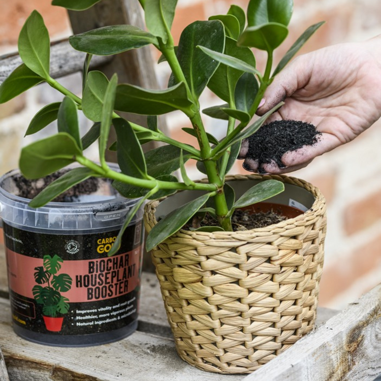 Carbon Gold Biochar Houseplant Booster