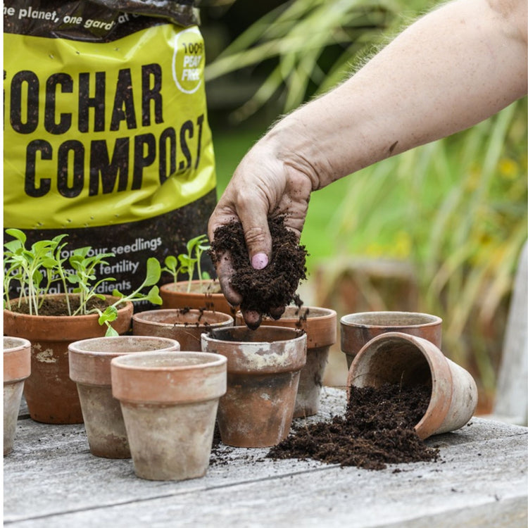 compost for planting seeds Carbon Gold Biochar Seed Compost