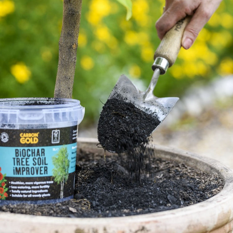 Carbon Gold Biochar Tree Soil Improver