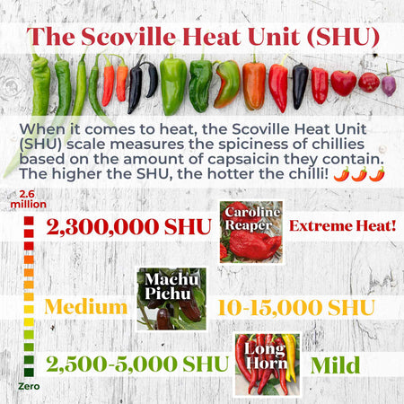 Chilli Flavour Collection 'Hot Mild Smoky'