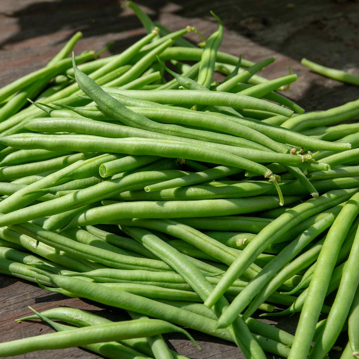 French Bean Climbing Seeds Cobra