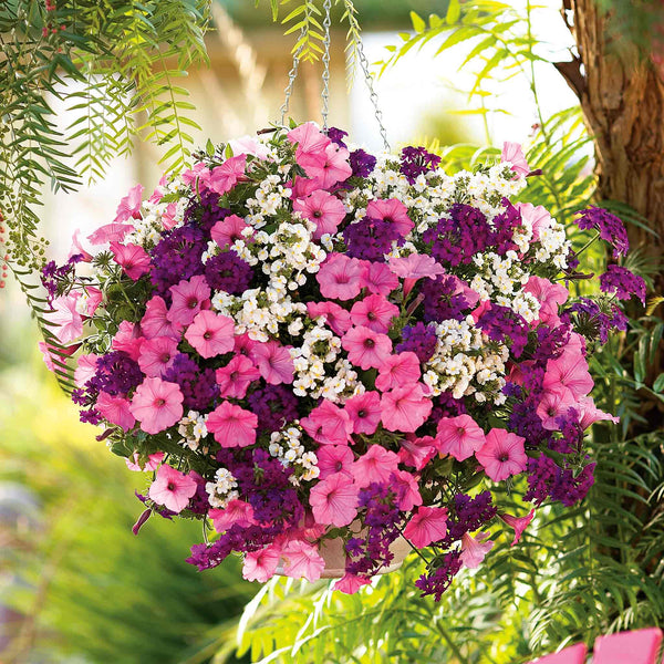 Basket Collection 'Pride & Joy'