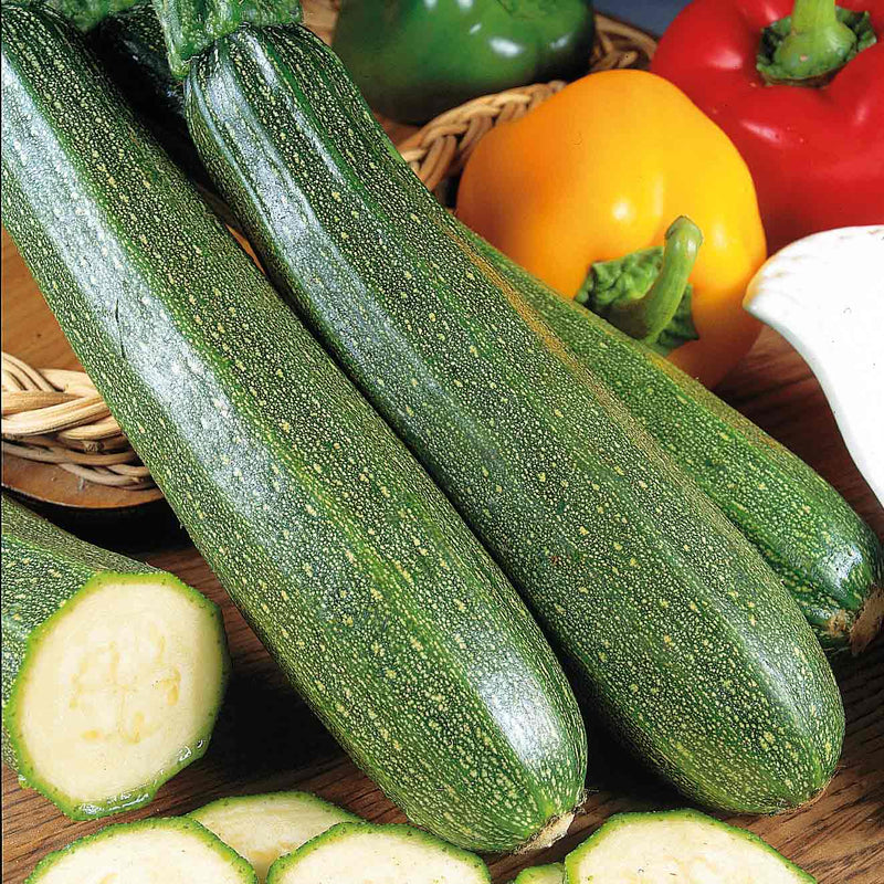 Courgette 'Zucchini'