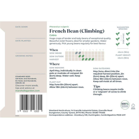 French Bean Climbing Seeds 'Cobra'