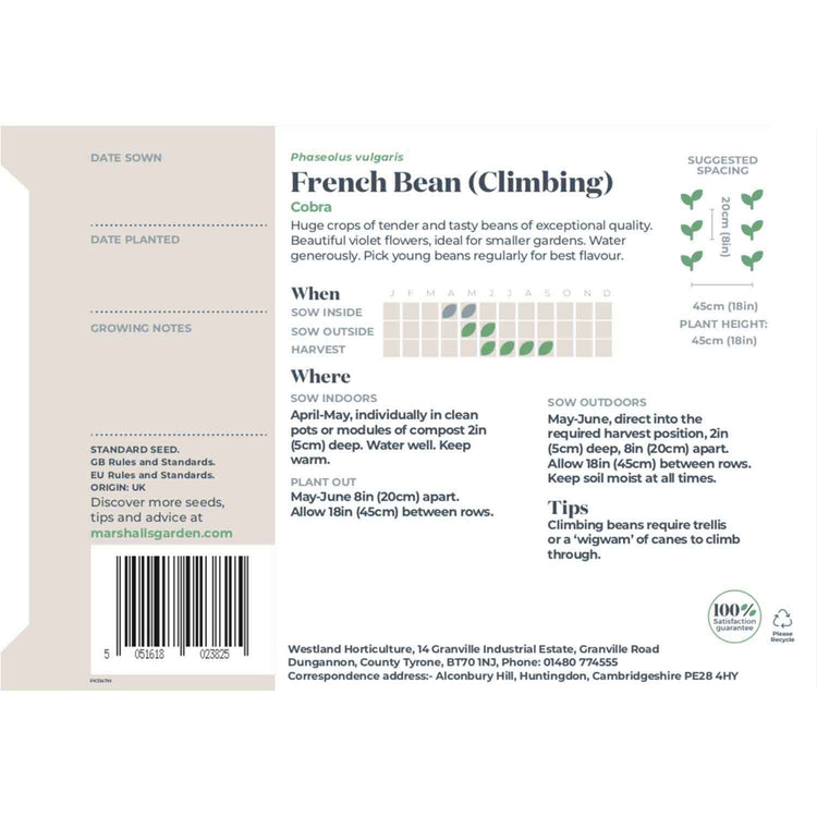 French Bean Climbing Seeds 'Cobra'