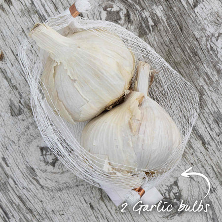 Autumn Planting Garlic 'Morado'
