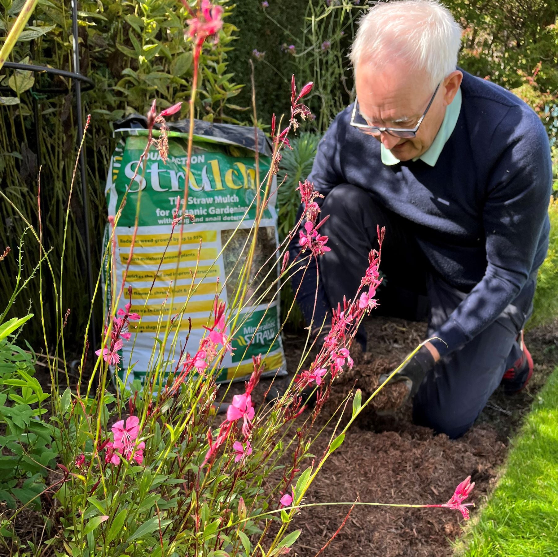 Strulch Organic Wheat Straw Mulch 9kg/100Ltr Buy Strulch Online
