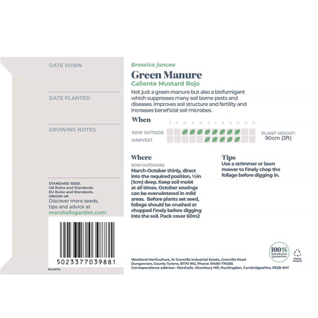 Green Manure Caliente Mustard Rojo