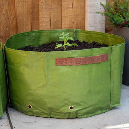 Haxnicks Tomato Patio Planters