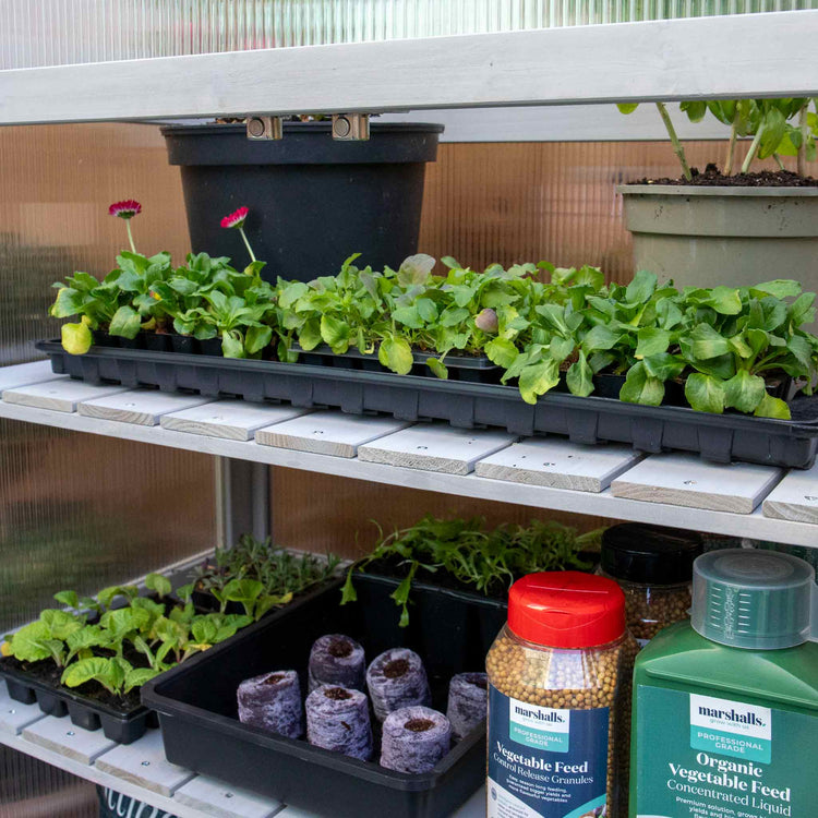 Grow It Wooden Growhouse Dove Grey