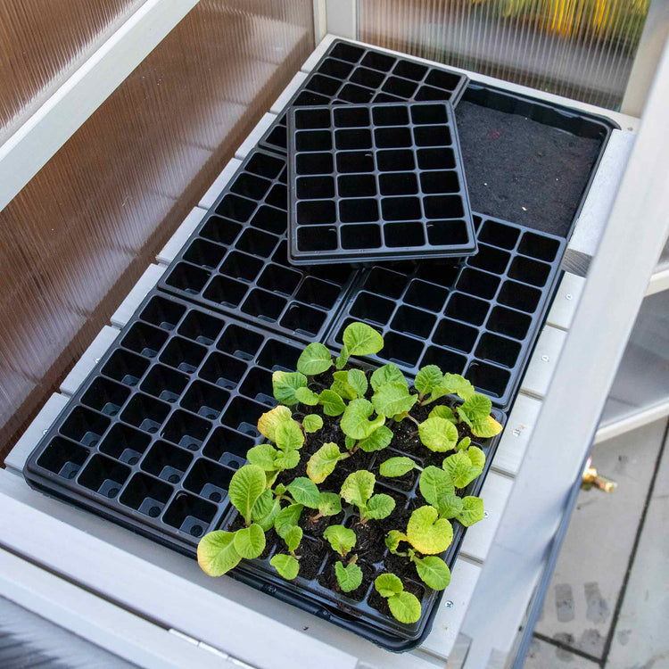 Grow It Wooden Growhouse Dove Grey