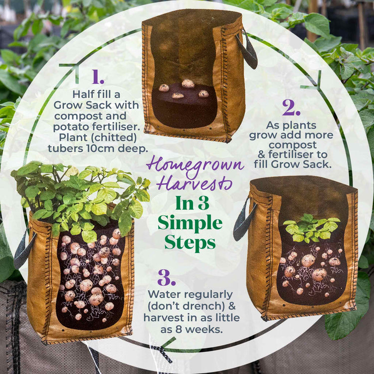 grow planter bags Grow it Potato Planter Bags Twin Pack