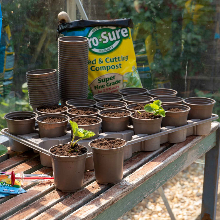plant pot carry trays Growing On Pots 400 x 9cm with 20 Carry Trays