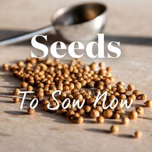 Seed Sowing