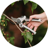 Secateurs