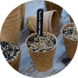 Propagation Accessories