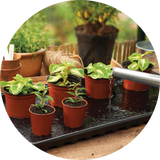 All Propagation Equipment