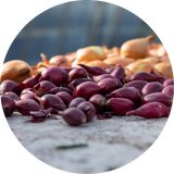 Onions, Shallots & Garlic