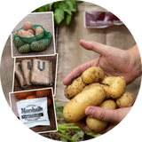Potato Growing Kits