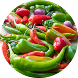 Chilli Seeds