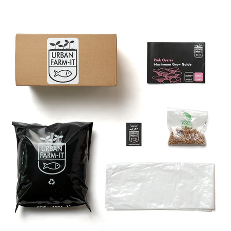 Pink Oyster Mushroom Kit