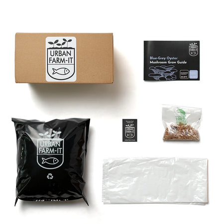 Blue Oyster Mushroom Kit