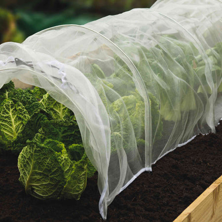 Grow it InsectGard with Grow Tunnel Hoops