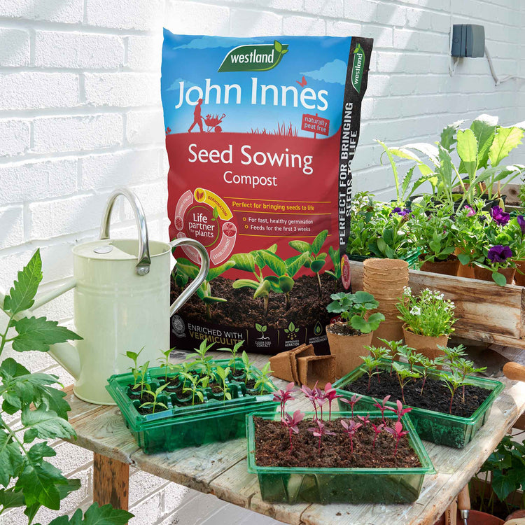 john innes potting mix John Innes Peat Free Seed Sowing Compost
