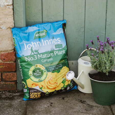 John Innes Peat Free No.3 Mature Plant Compost
