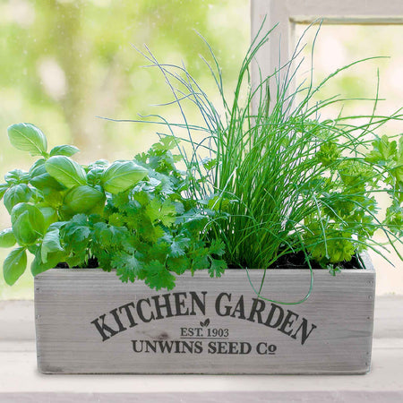 Unwins Kitchen Garden Herb Kit