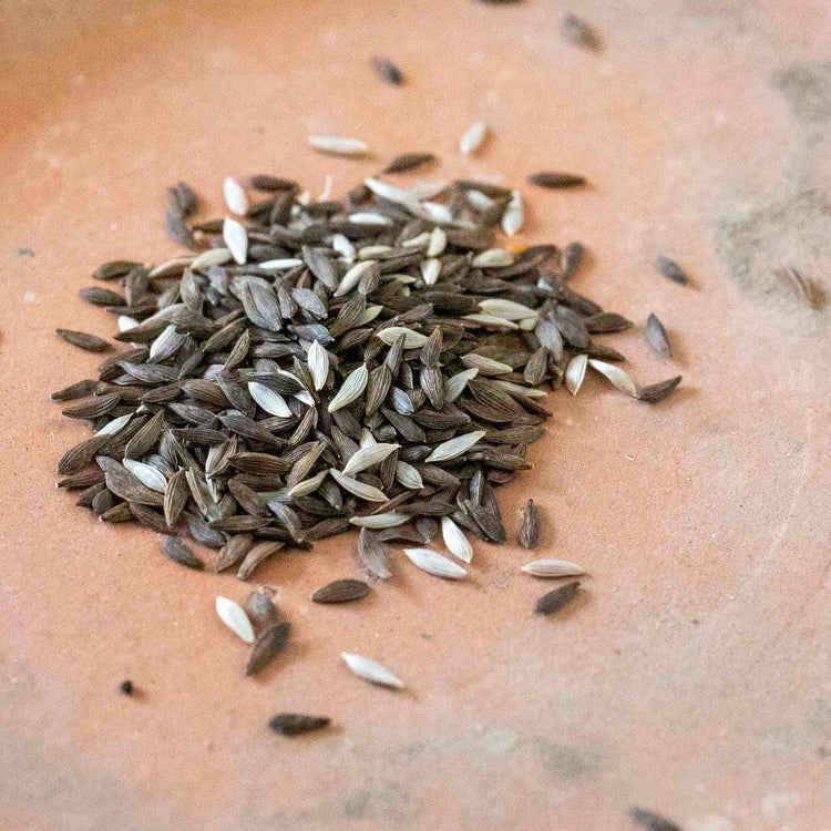 Lettuce Seeds 'Cut and Come Again'