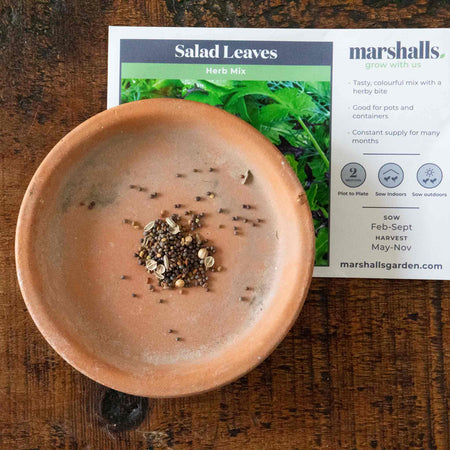 Salad Seeds 'Herb Mix'