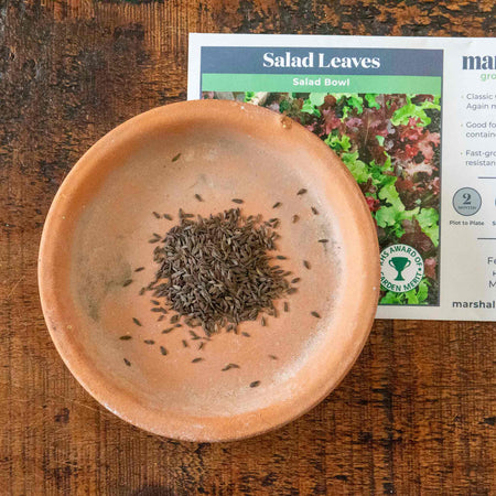 Salad Leaves Seeds 'Salad Bowl'