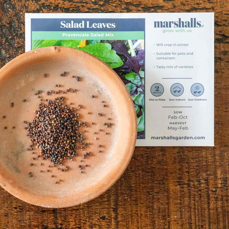 Salad Leaves Seeds 'Provencale Mix'