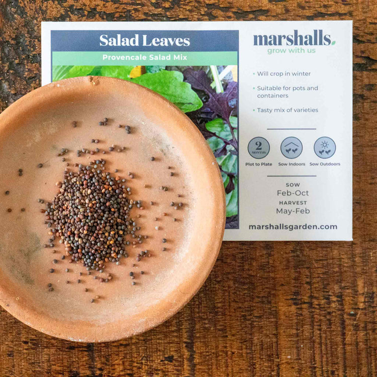 Salad Leaves Seeds 'Provencale Mix'