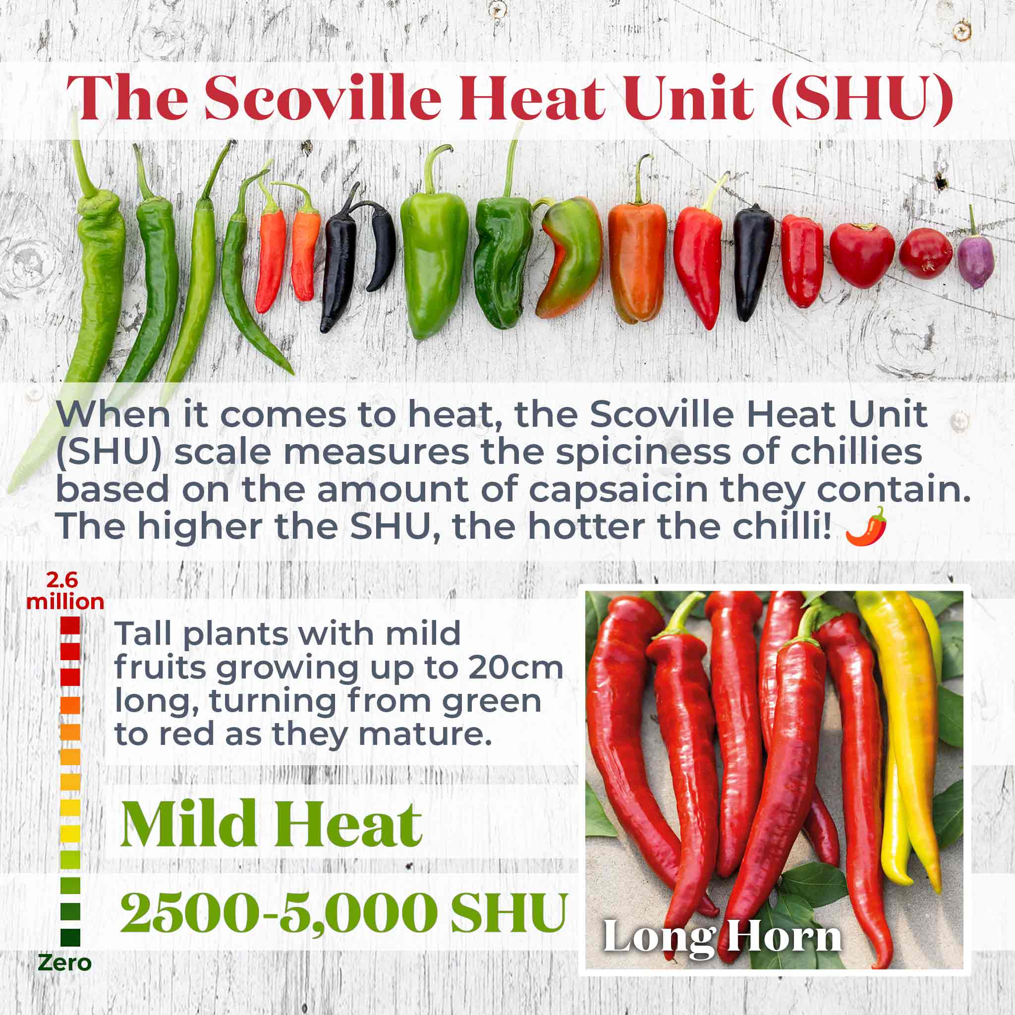 Chilli Flavour Collection 'Hot Mild Smoky' | Marshalls Garden