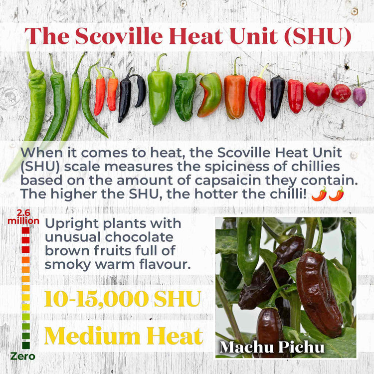 Chilli Flavour Collection 'Hot Mild Smoky'