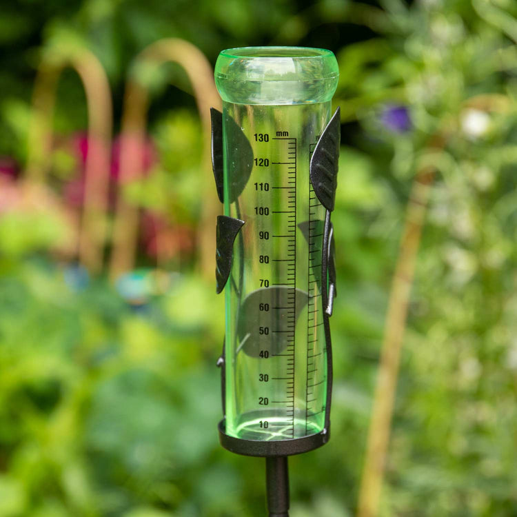 Rain Gauge