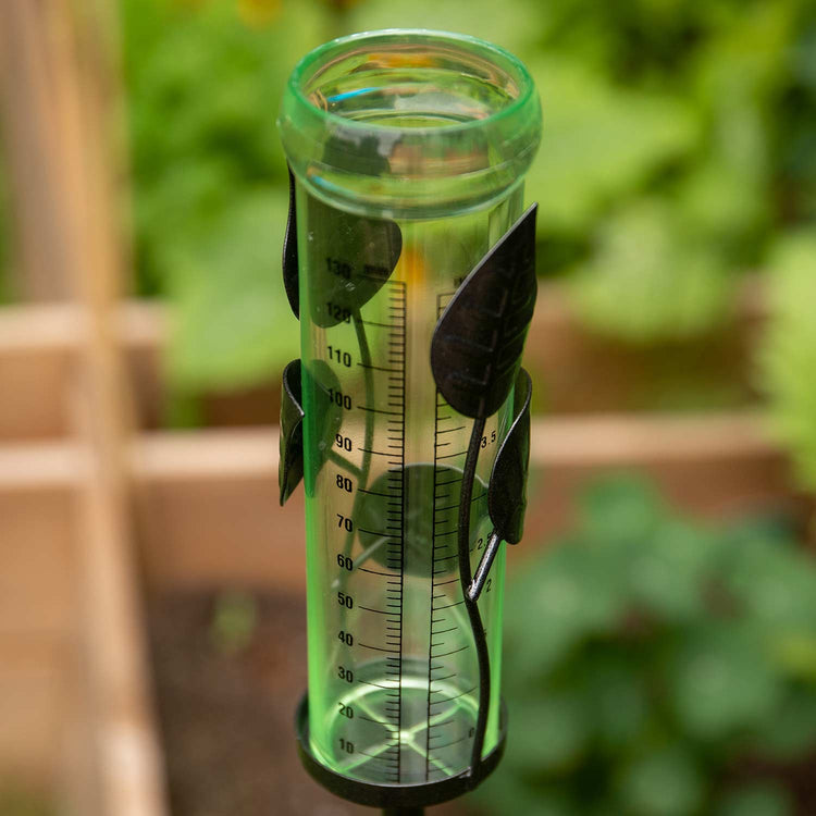 Rain Gauge