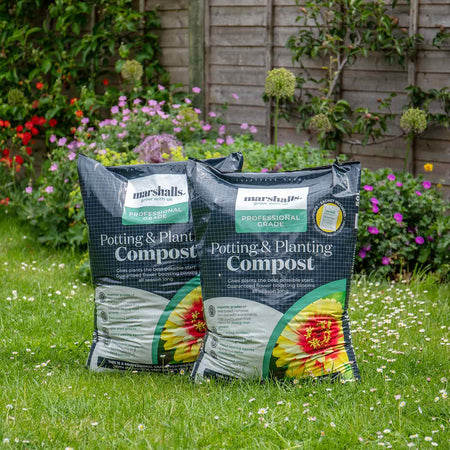 Marshalls Garden Potting and Planting Compost with Feed