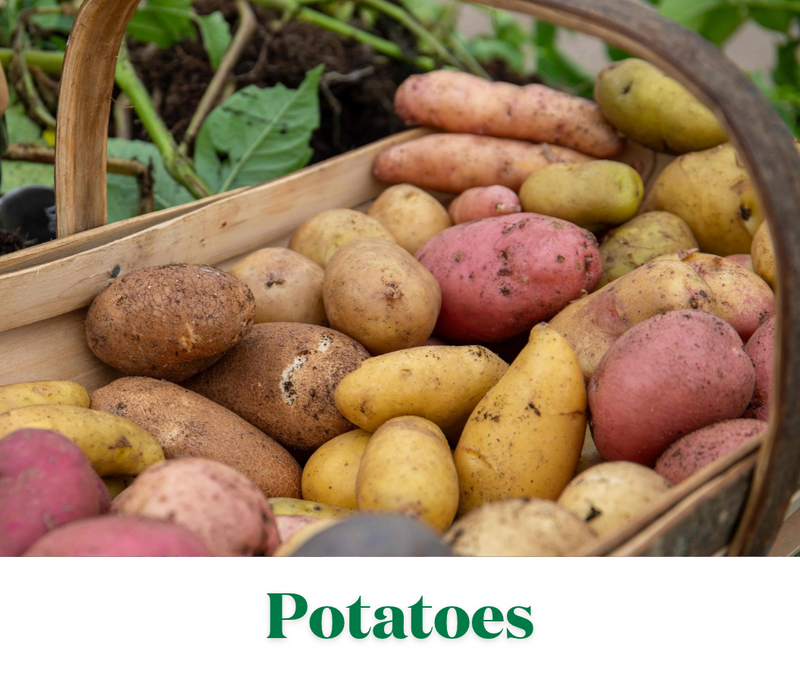 Delicious Roasts