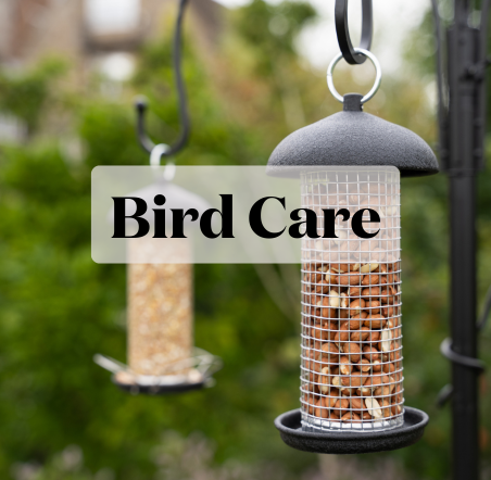 Bird Care