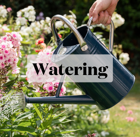 Watering