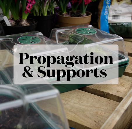 Propagators