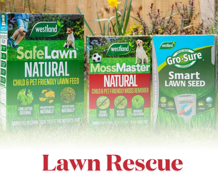 Fast Results, Free Delivery