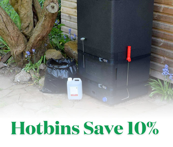 Limited Time Offer!