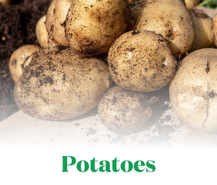 Delicious Roasts