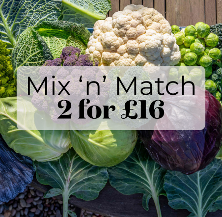 Autumn Planting Vegetables