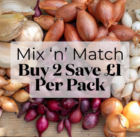 Spring Planting Onions, Shallots & Garlic